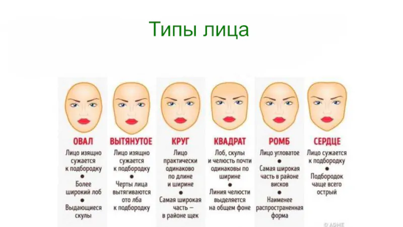 типы лица